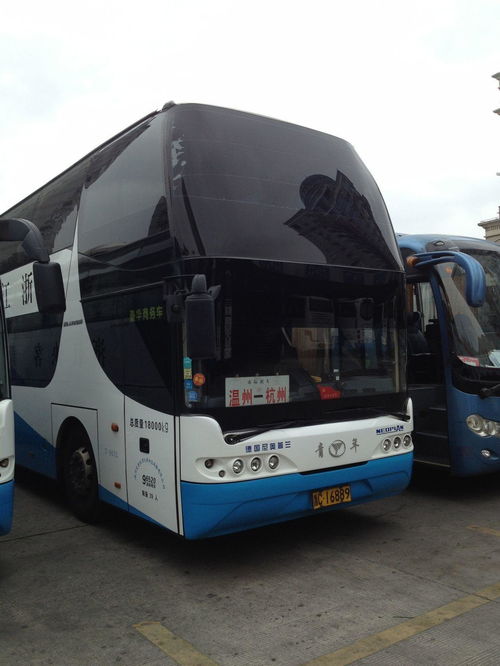 温州市交通运输集团 打造高效城市配送运输服务